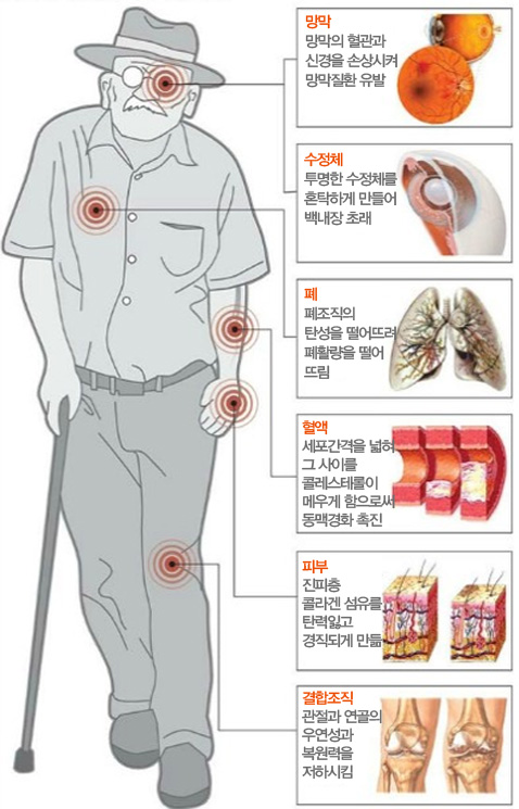 선천적 이상으로 인한 성장장애